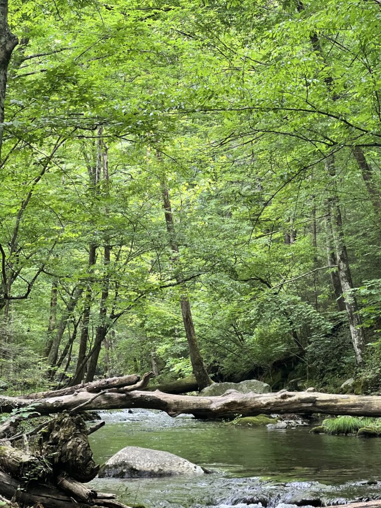 Great Smoky Mountains National Park