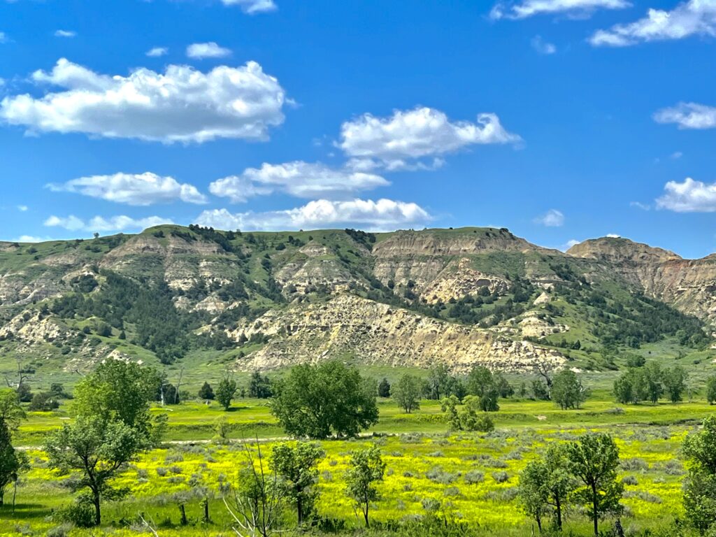 Theodore Roosevelt National Park