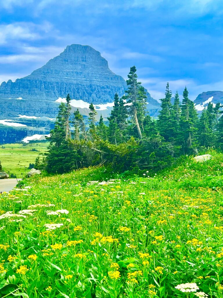 Glacier National Park