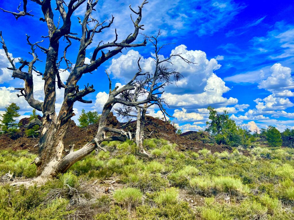 Craters of the Moon National Monument